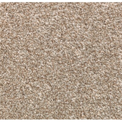 STAINMASTER (Sample) Durable Step II Carrington Beige Textured Carpet in  the Carpet Samples department at