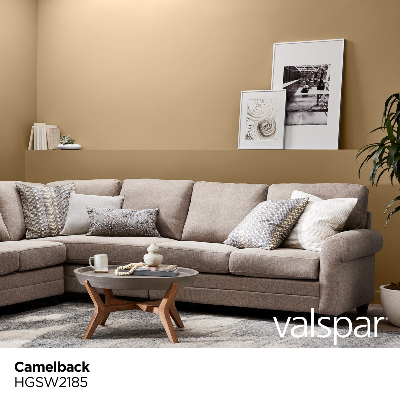 Camelback by Sherwin Williams (paint colors) - Green With Decor