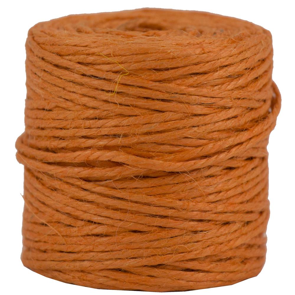 JAM Paper Orange Jute Twine Spool - #60 Twine Size, 219 Feet Length,  0.125-in Width, 5 lbs. Maximum Load - Ideal for Crafts and Packaging in the  String & Twine department at