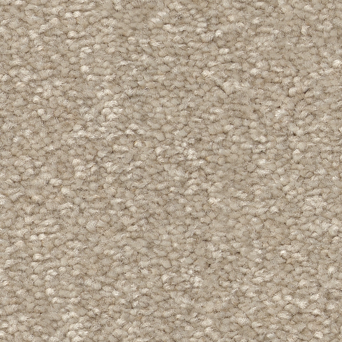 STAINMASTER 7L863 - 109 - SAMP (Sample) Best Intentions II Natural Tan 53.6-oz sq yard Polyester Textured Indoor Carpet