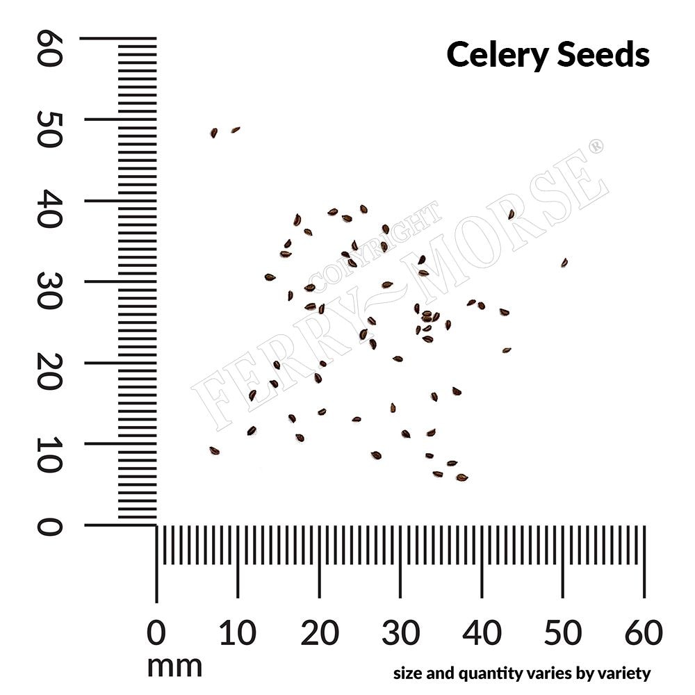 Ferry-Morse LC25.9532 Vegetable-Herb-Seeds - View #4