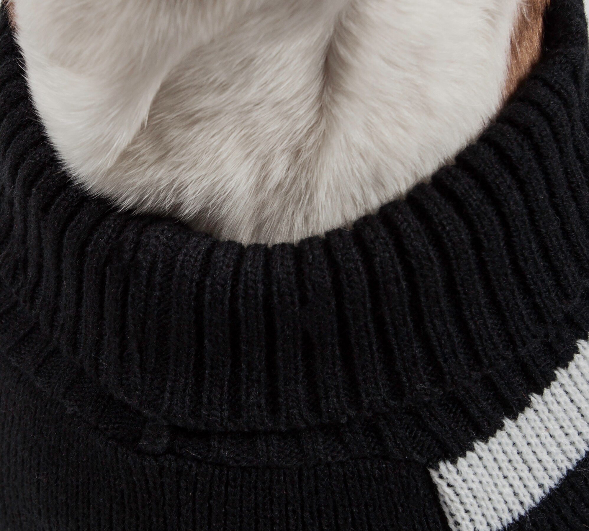 Pet Life SW9RDBLG Dog-Apparel - View #5
