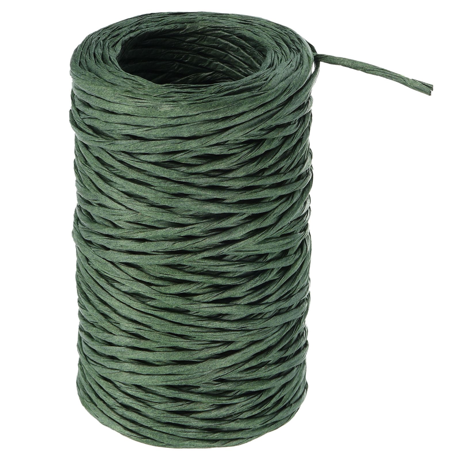 PATIKIL 164-Foot Floral Bind Wire Wrap Twine 2mm Florist Wire Iron Wire Paper Covered Vine Wrapping Binding Wire for Flower Bouquets Green