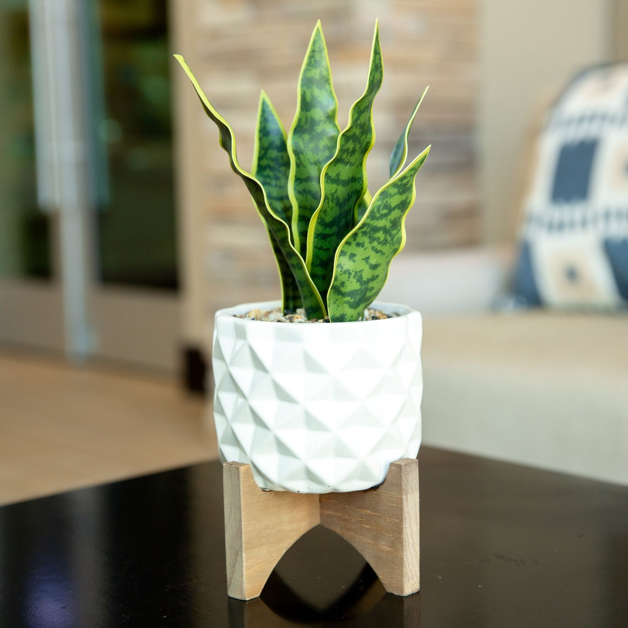 Flora Bunda CT792E-MTWH Planter-Window-Box - View #3
