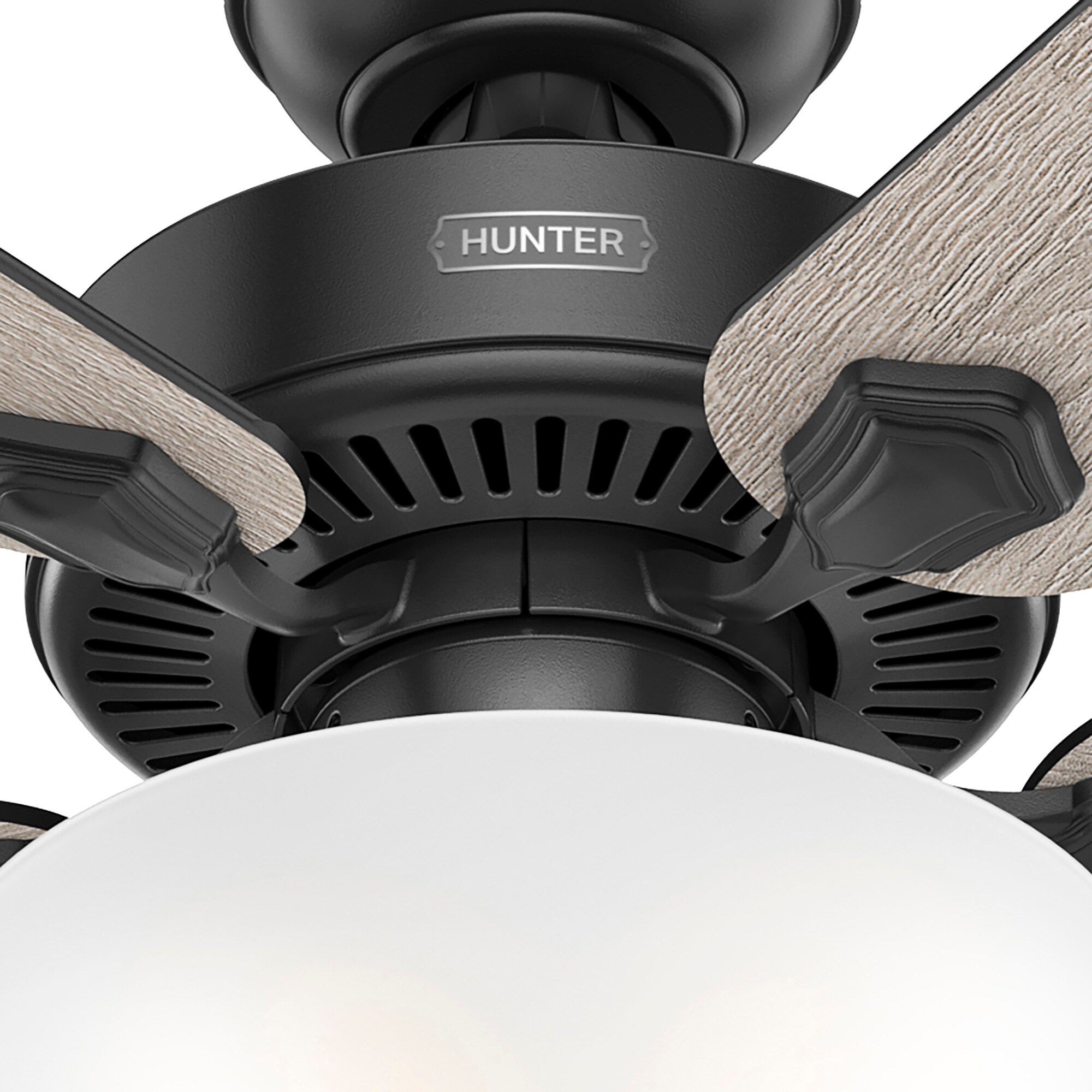 Hunter 51738 Ceiling-Fans - View #15