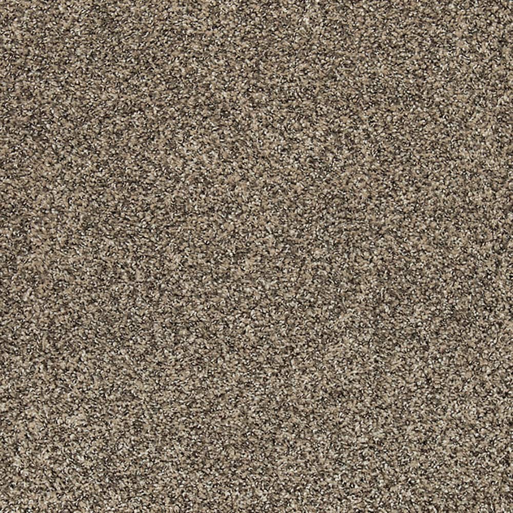 STAINMASTER (Sample) 8-in x 8-in Tranquil Walk I Renoir Bisque Brown 42-oz sq yard Triexta Textured Indoor Carpet