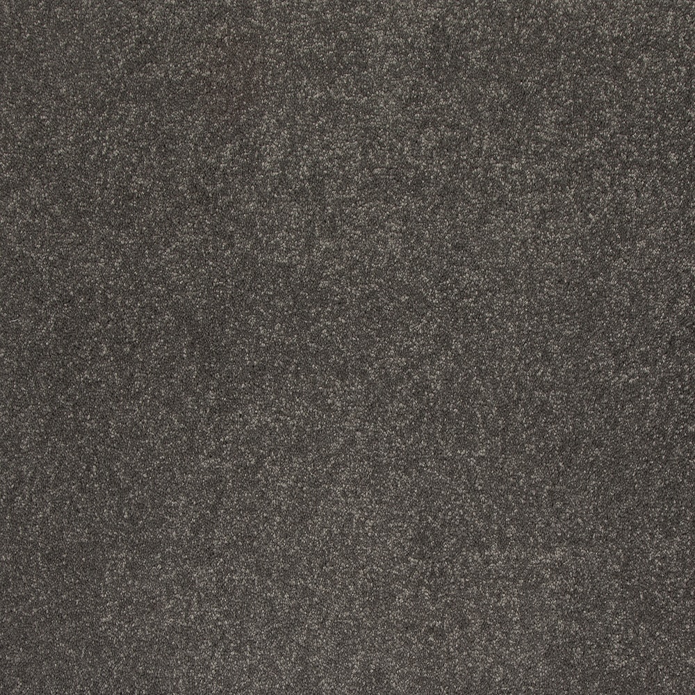 STAINMASTER SS029-12-L010 Express Install Rarefied Air I Elegant Gray 35-oz sq yard Solution-dyed polyester Textured Indoor Carpet