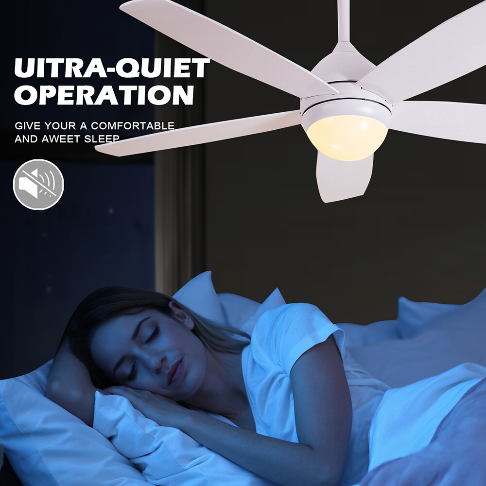 Sunrinx MG37-1-CF-14 Ceiling-Fans - View #3