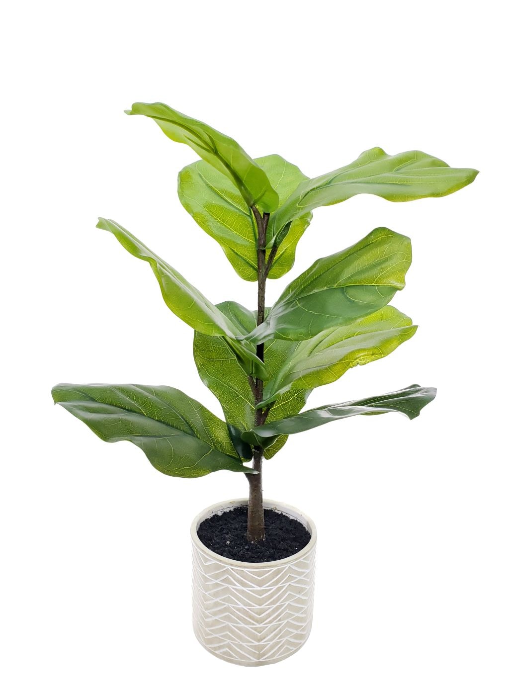 allen + roth 24-in Green Indoor Fiddle Leaf Artificial Plant in the ...