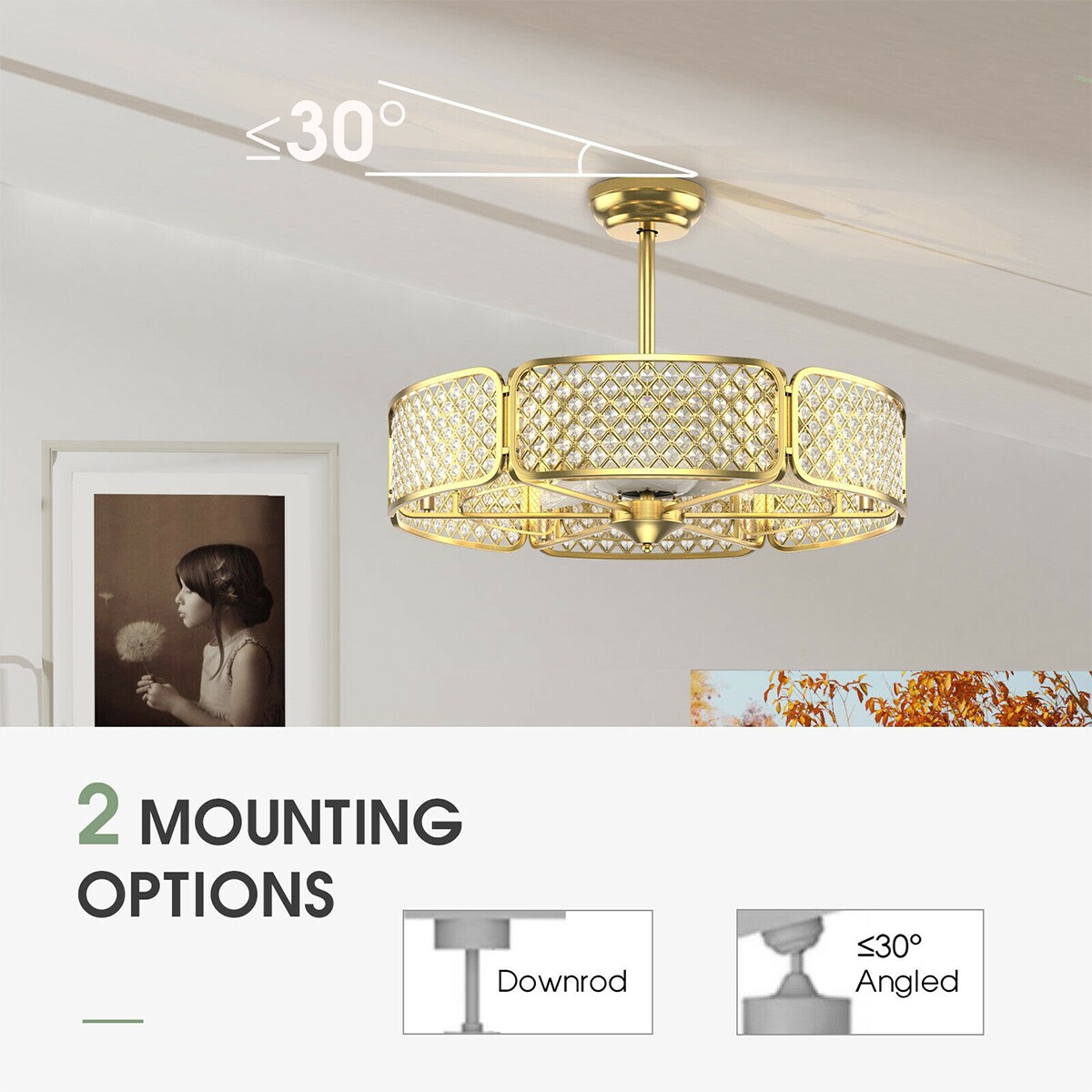 WELLFOR DFJ10067US-GD Ceiling-Fans - View #8