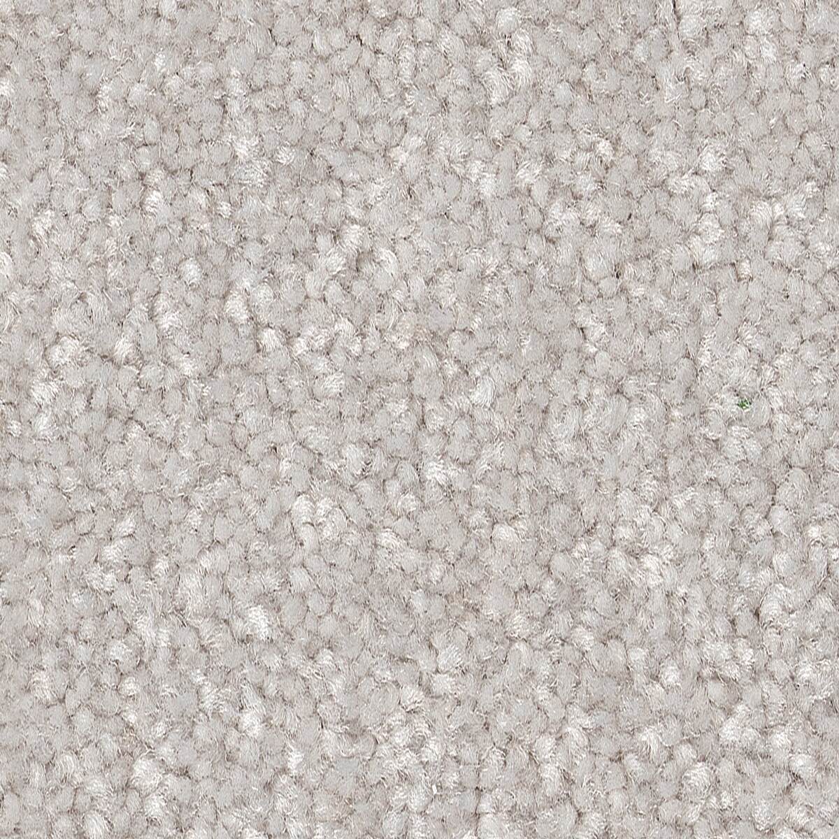 STAINMASTER 7L863 - 107 - SAMP (Sample) Best Intentions II Frozen Gray 53.6-oz sq yard Polyester Textured Indoor Carpet