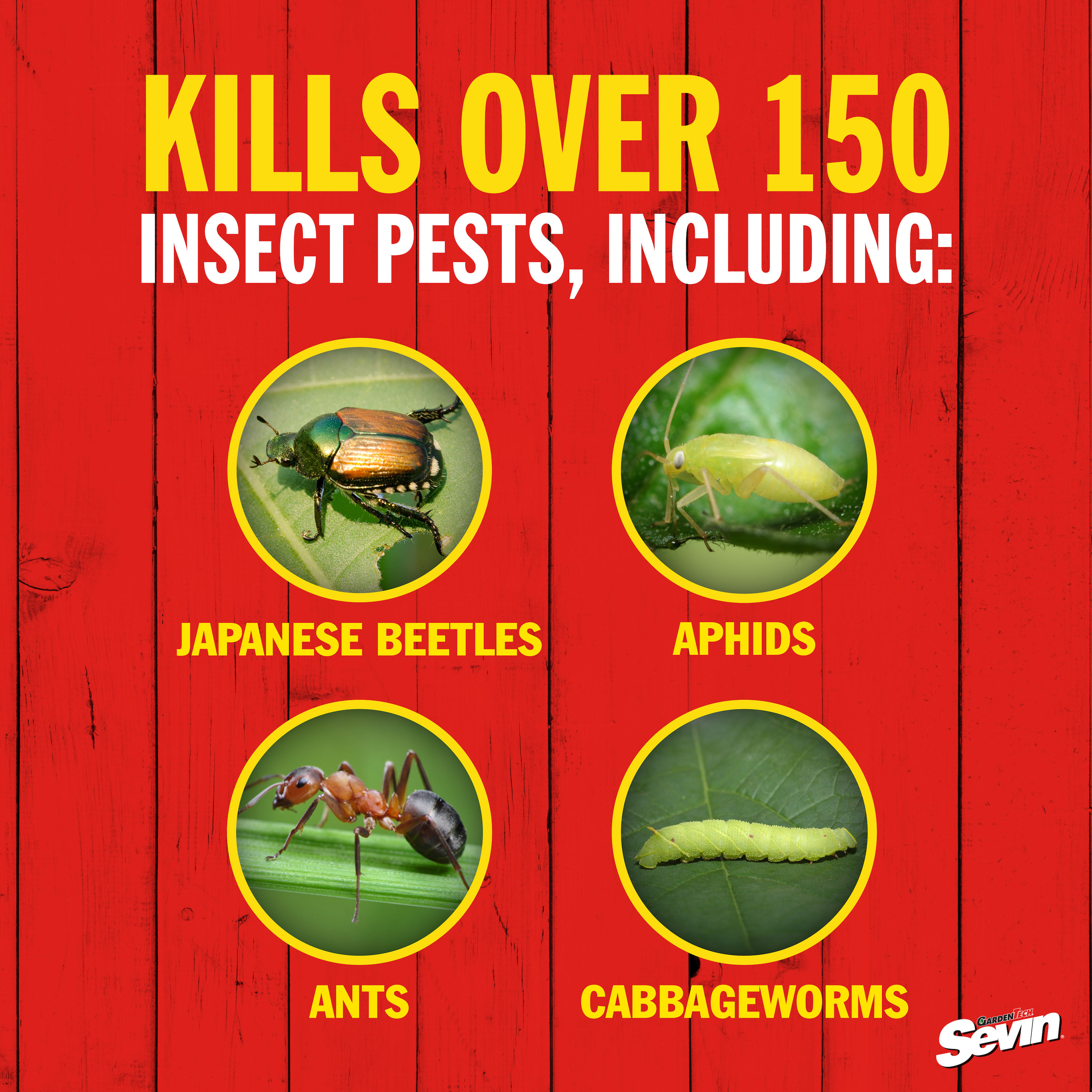 Sevin 5% 1-lb Garden Insect Killer in the Pesticides department at ...