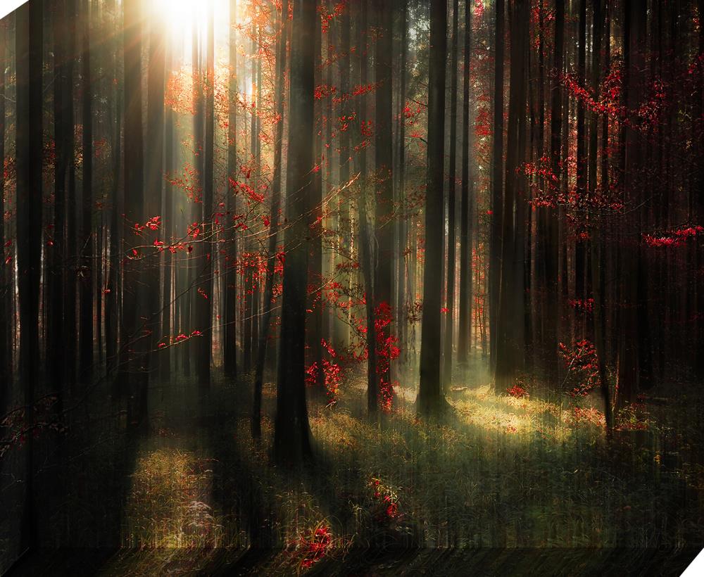  1607-8165LOW 30-in H x 37-in W Landscape Print on Canvas
