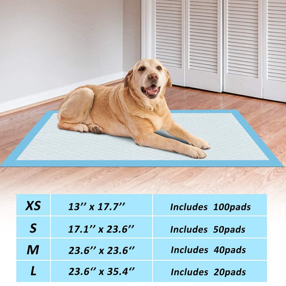 Largest 2024 puppy pads