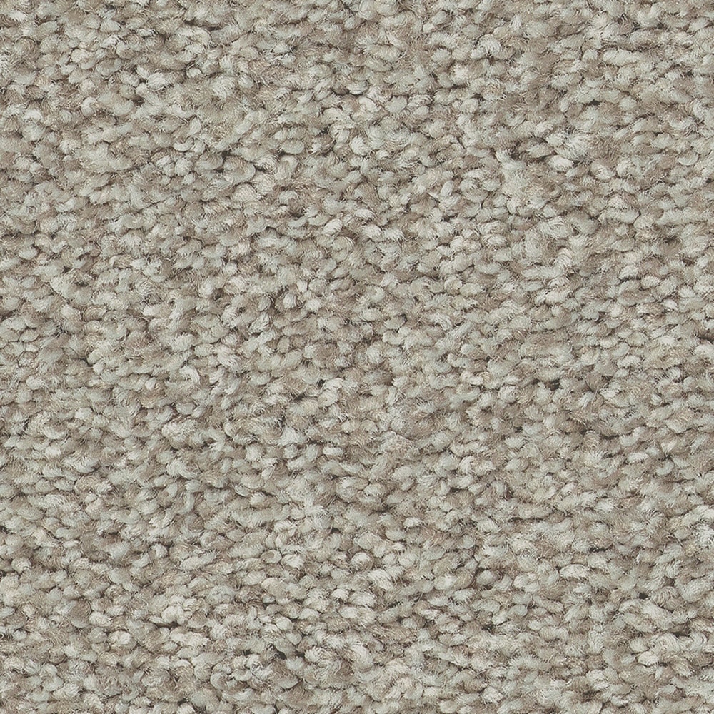 STAINMASTER 7L7980128T Exquisite Tonal II Shoreline Haze (T) Off-white 53.6-oz sq yard Nylon Textured Indoor Carpet