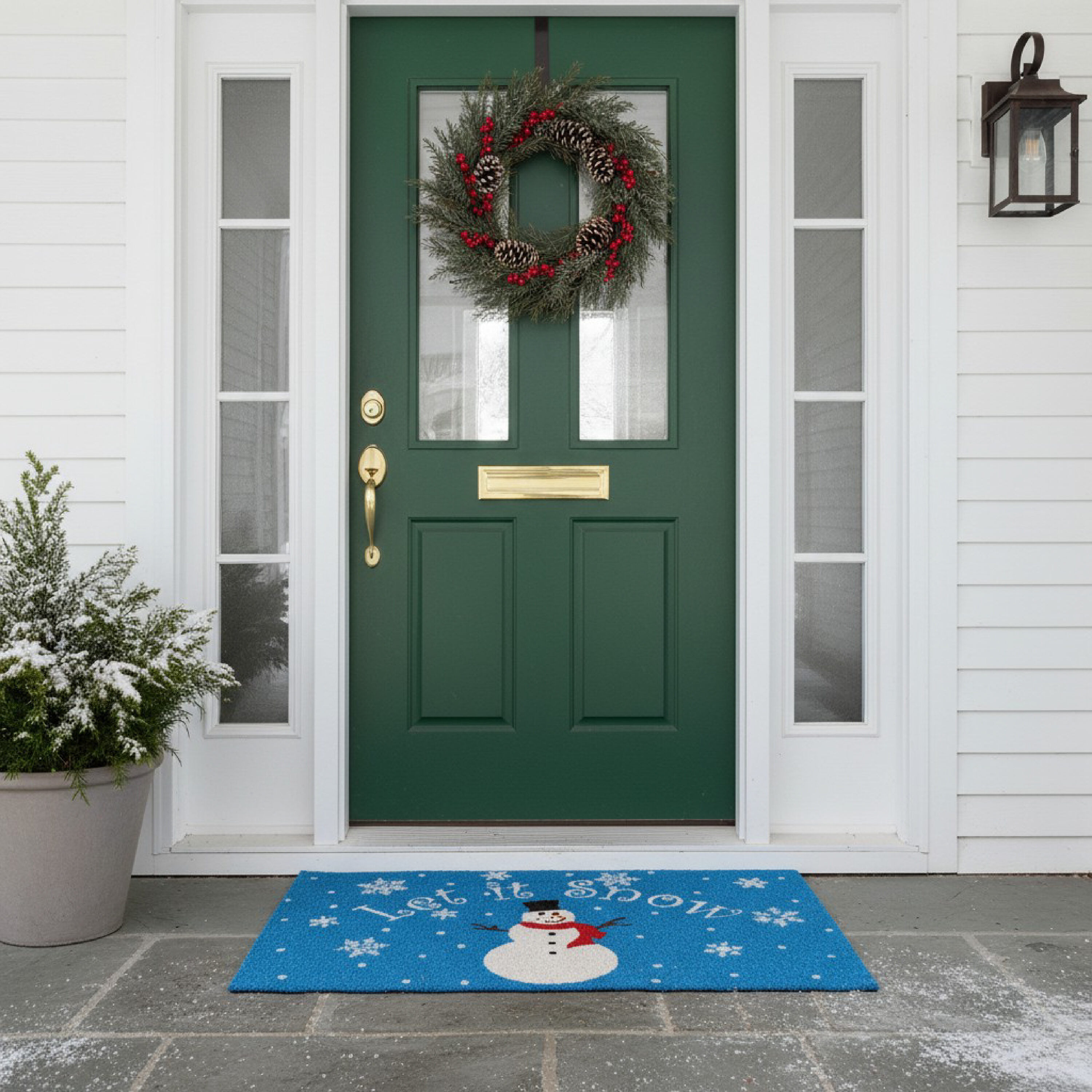 Callowaymills 101911729 Mats-Cat - View #3