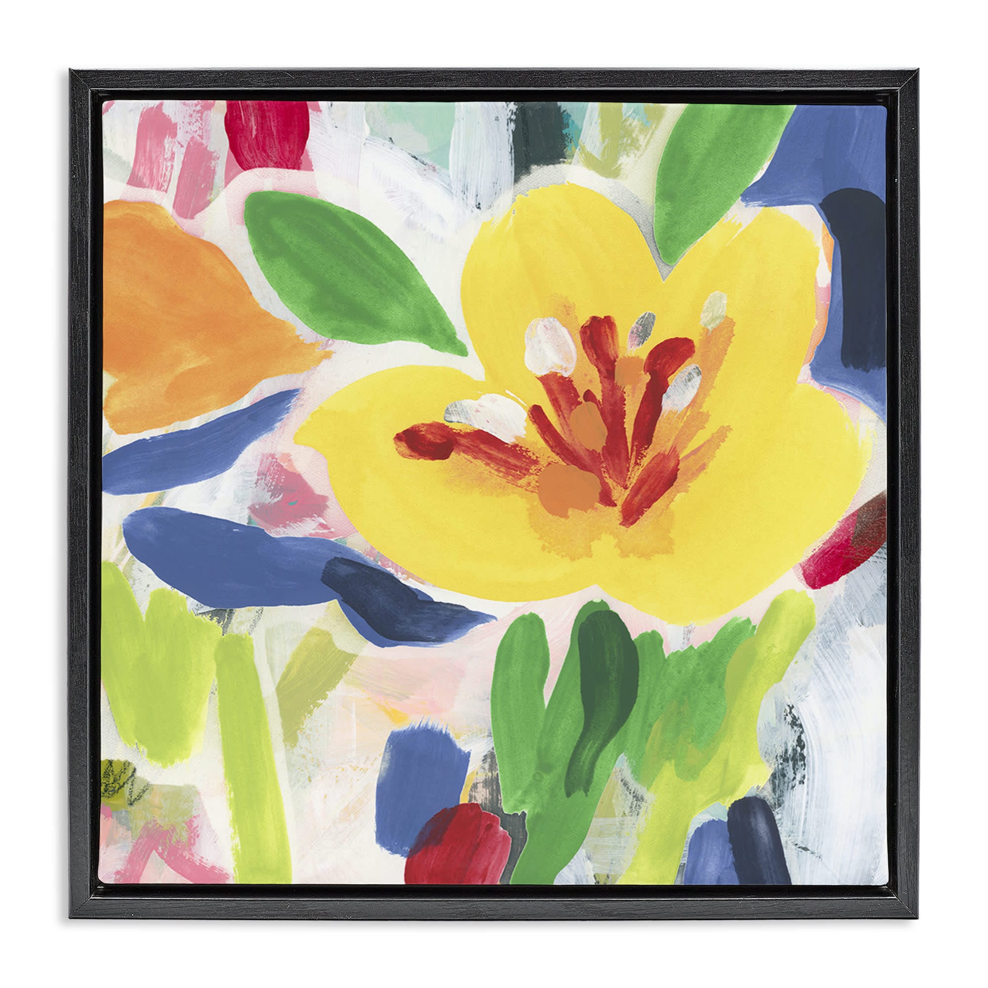 Stupell Industries BS-404-FFB-24X24 Bright Yellow Buttercup Blooms Black Framed Floater Canvas Wall Art By June Erica Vess 25 x 25
