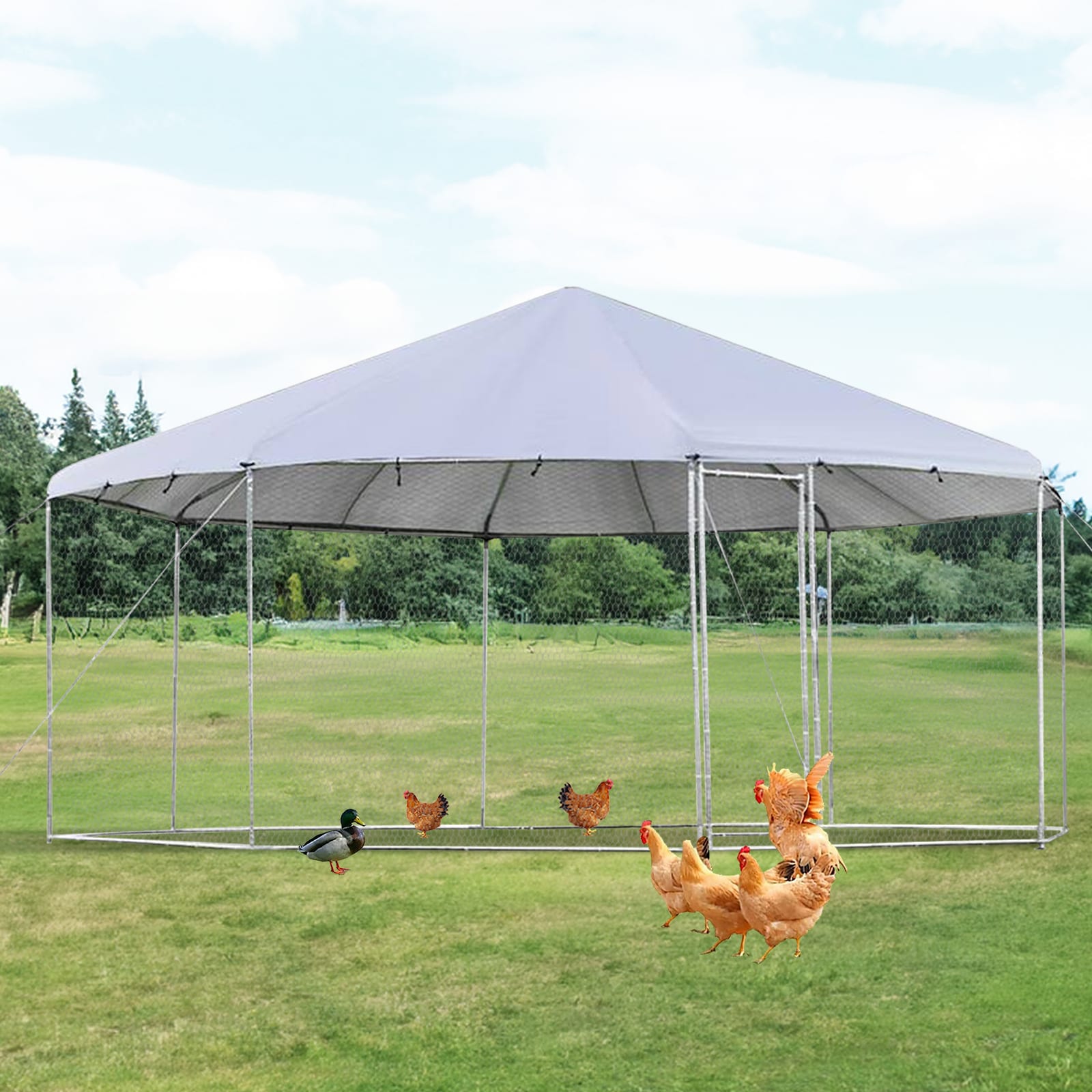 Maocao Hoom JL133557 Chicken-Coops-Rabbit-Hutches - View #2