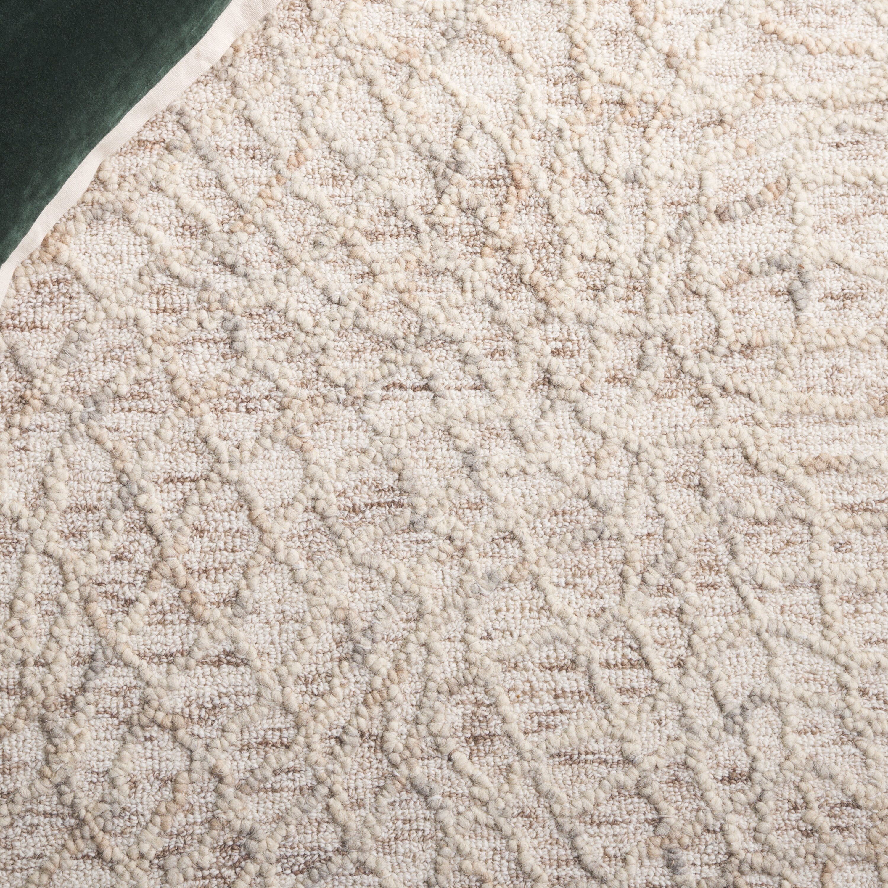 Safavieh EBN534B-5 rugs - View #4