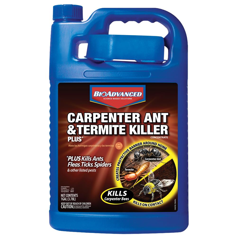 BioAdvanced 1-Gallon Carpenter Ant and Termite Concentrate Insect