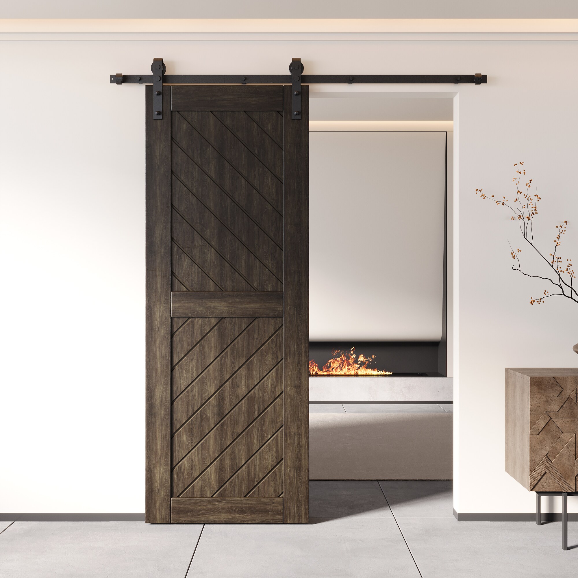 HOMACER XT4-3080-EB Barn-Doors - View #8