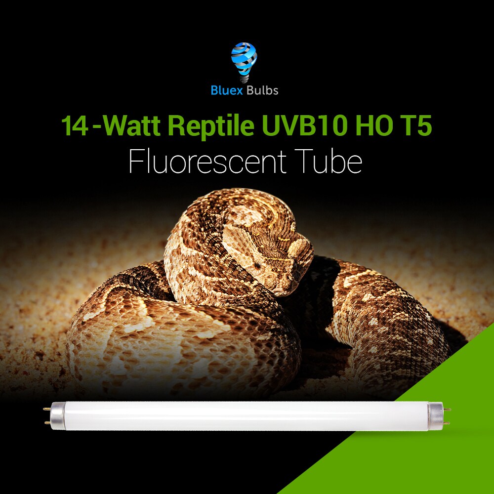 Bluex Bulbs REPTILE-T8-14W Specialty-Light-Bulbs - View #10