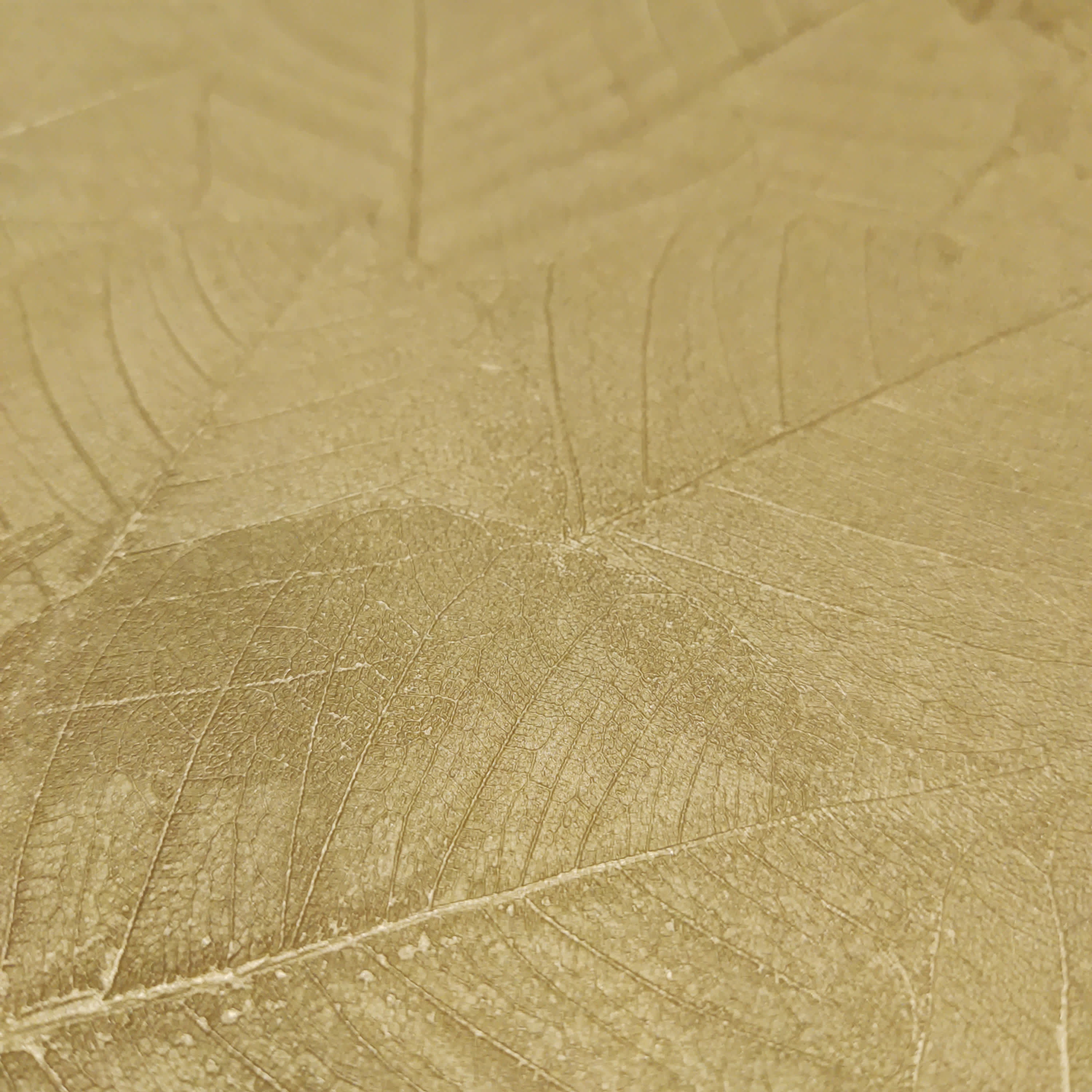 Veer Decor VRBT02-896 wallpaper - View #3