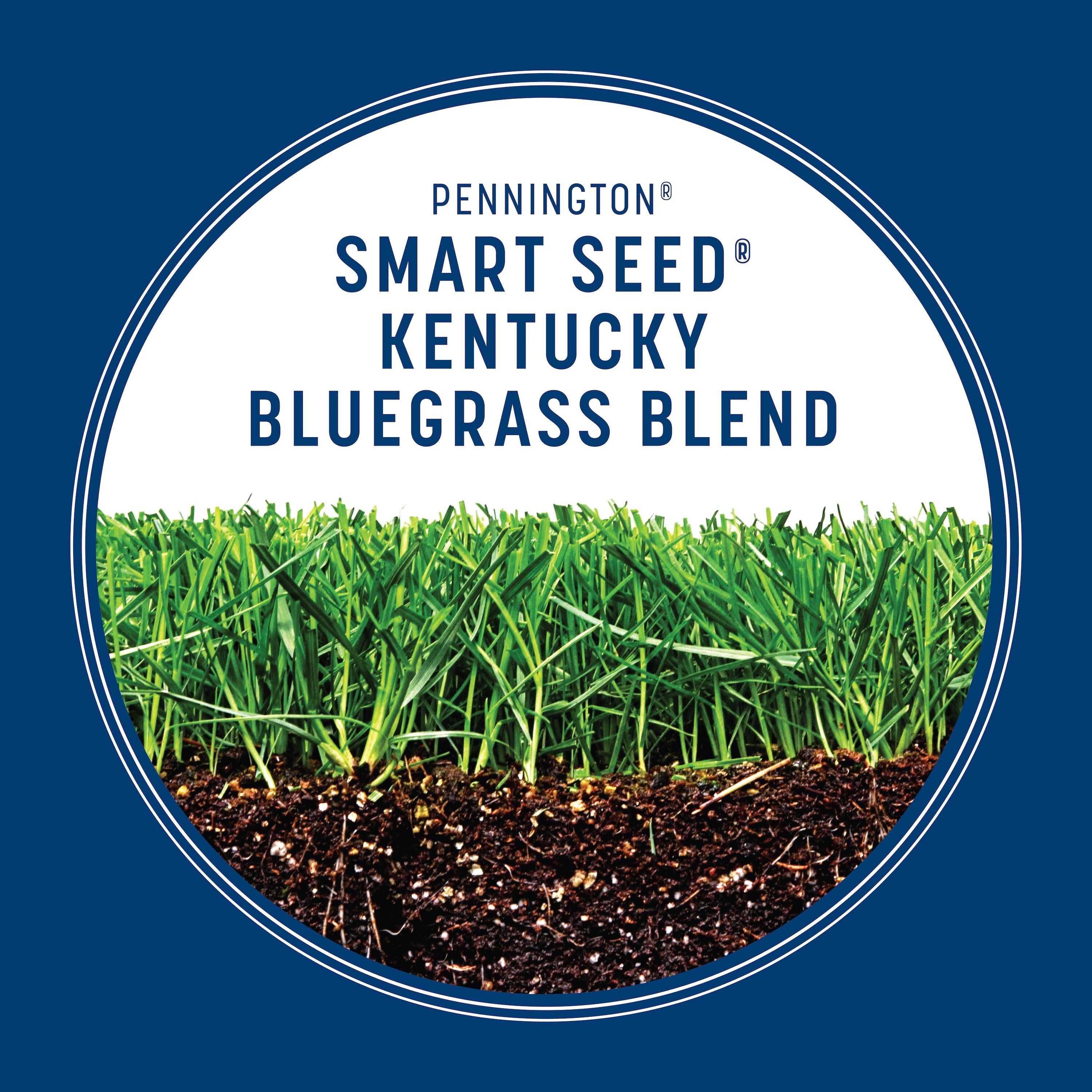 Pennington 100543705 Grass-Seed - View #5