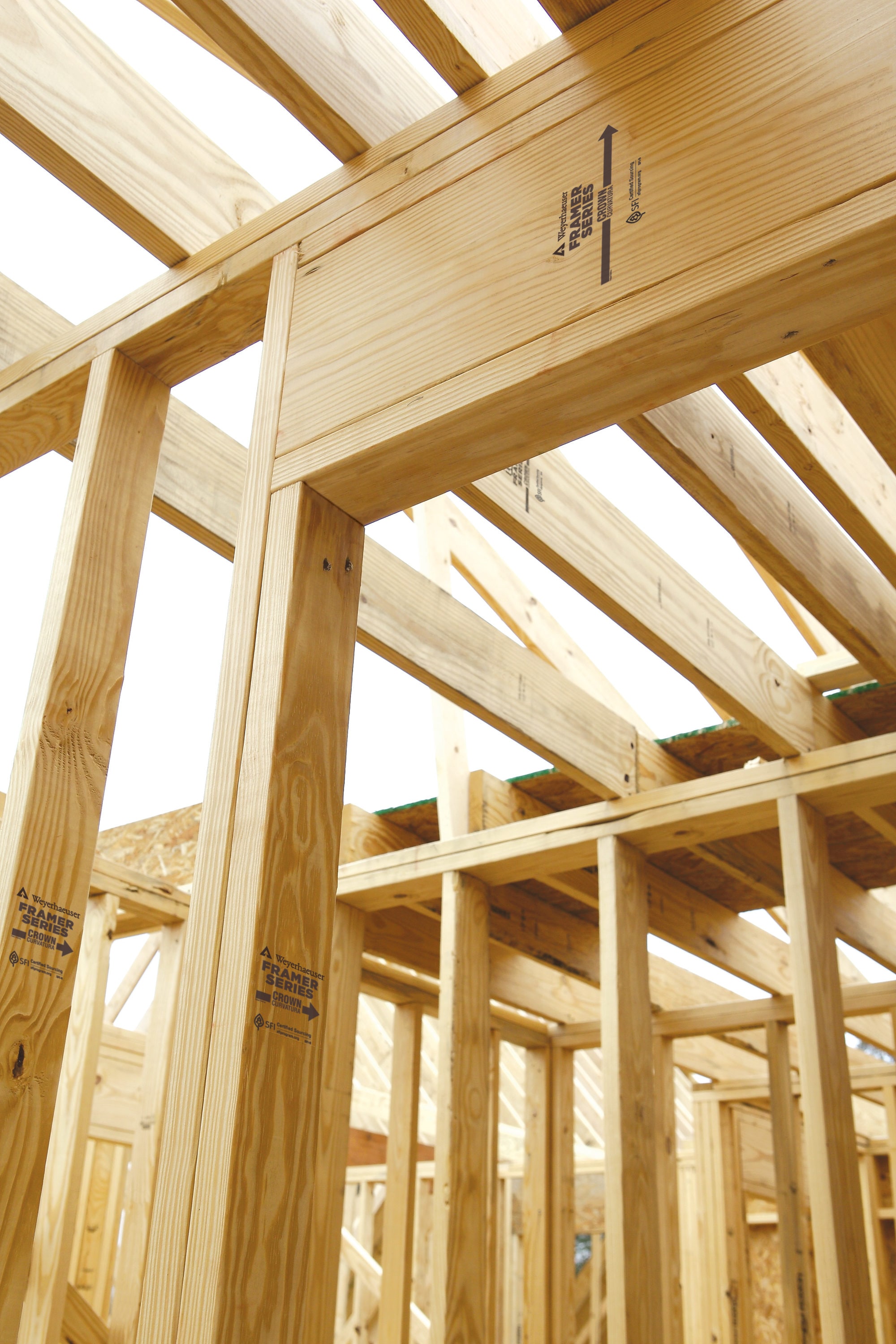  00401 Dotcom-Dimensional-Lumber - View #3