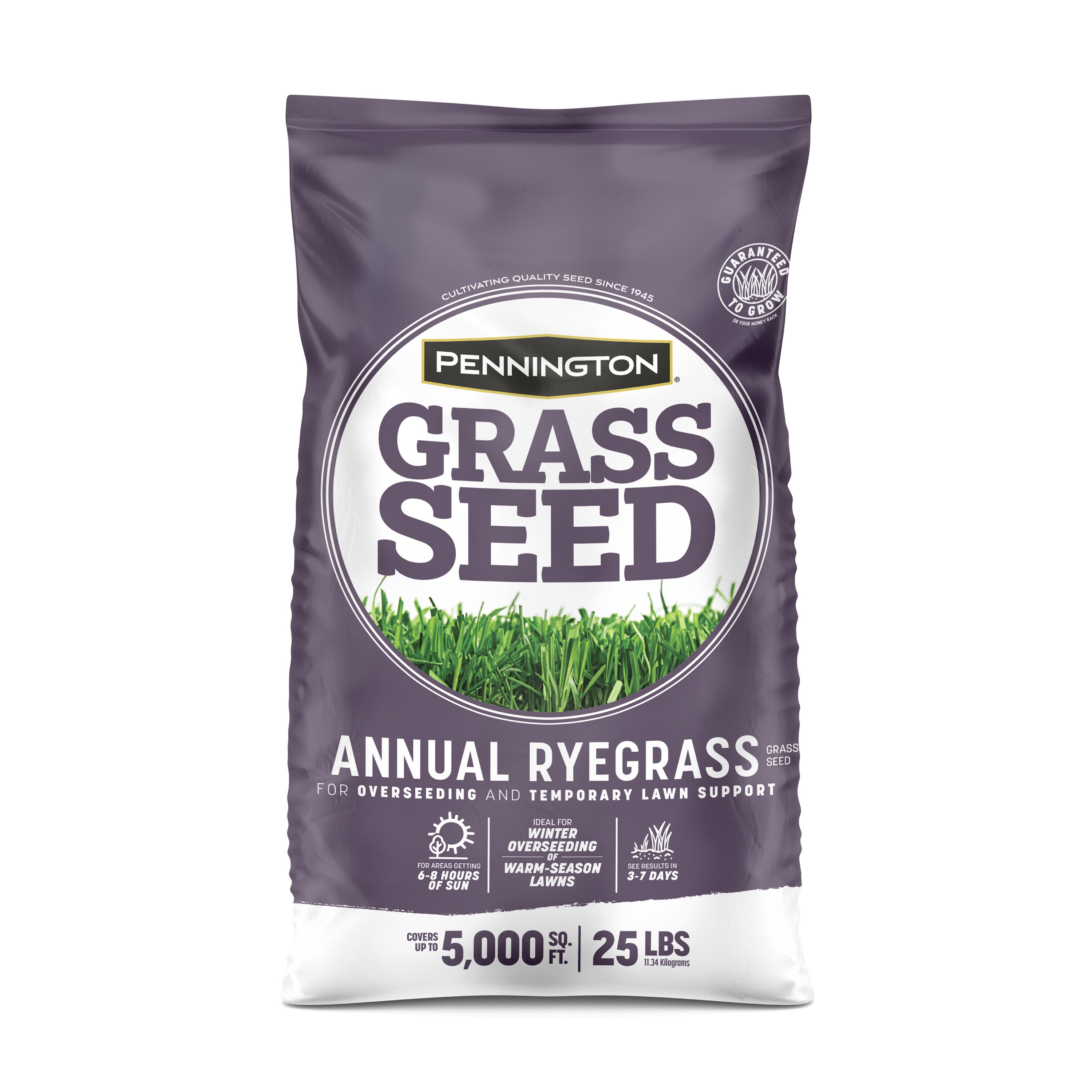 Pennington 00021496005560 25-lb Annual ryegrass Grass Seed