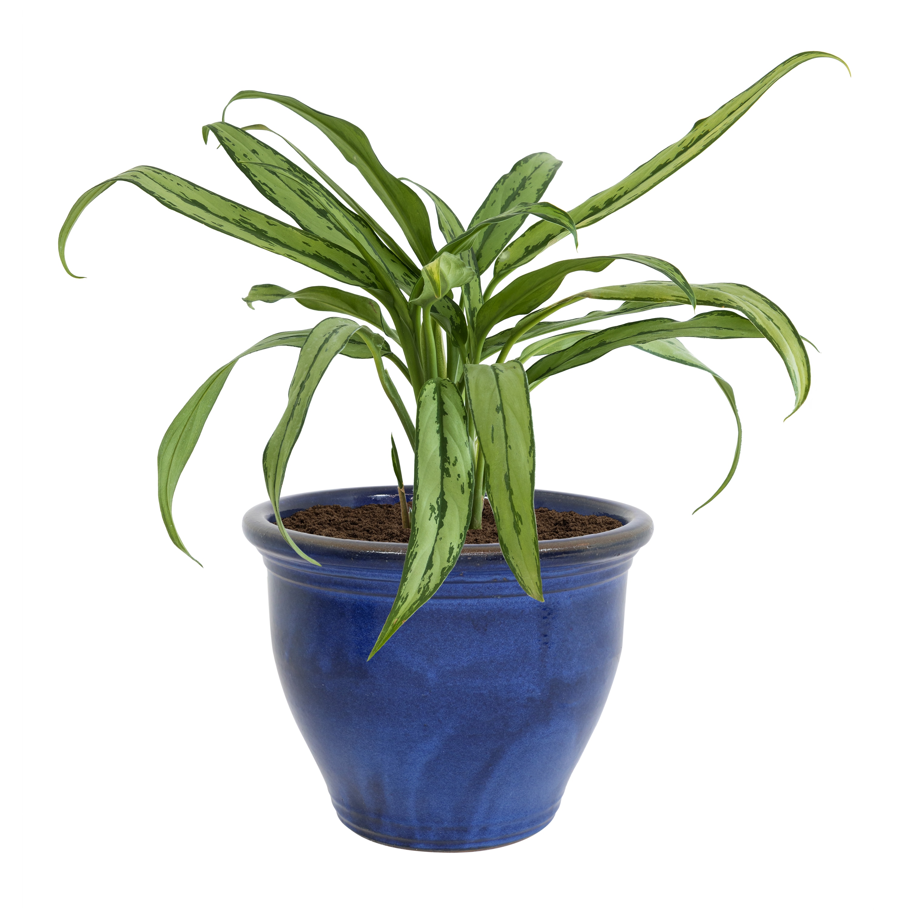 Sunnydaze Decor AP-933 Planter-Window-Box - View #10