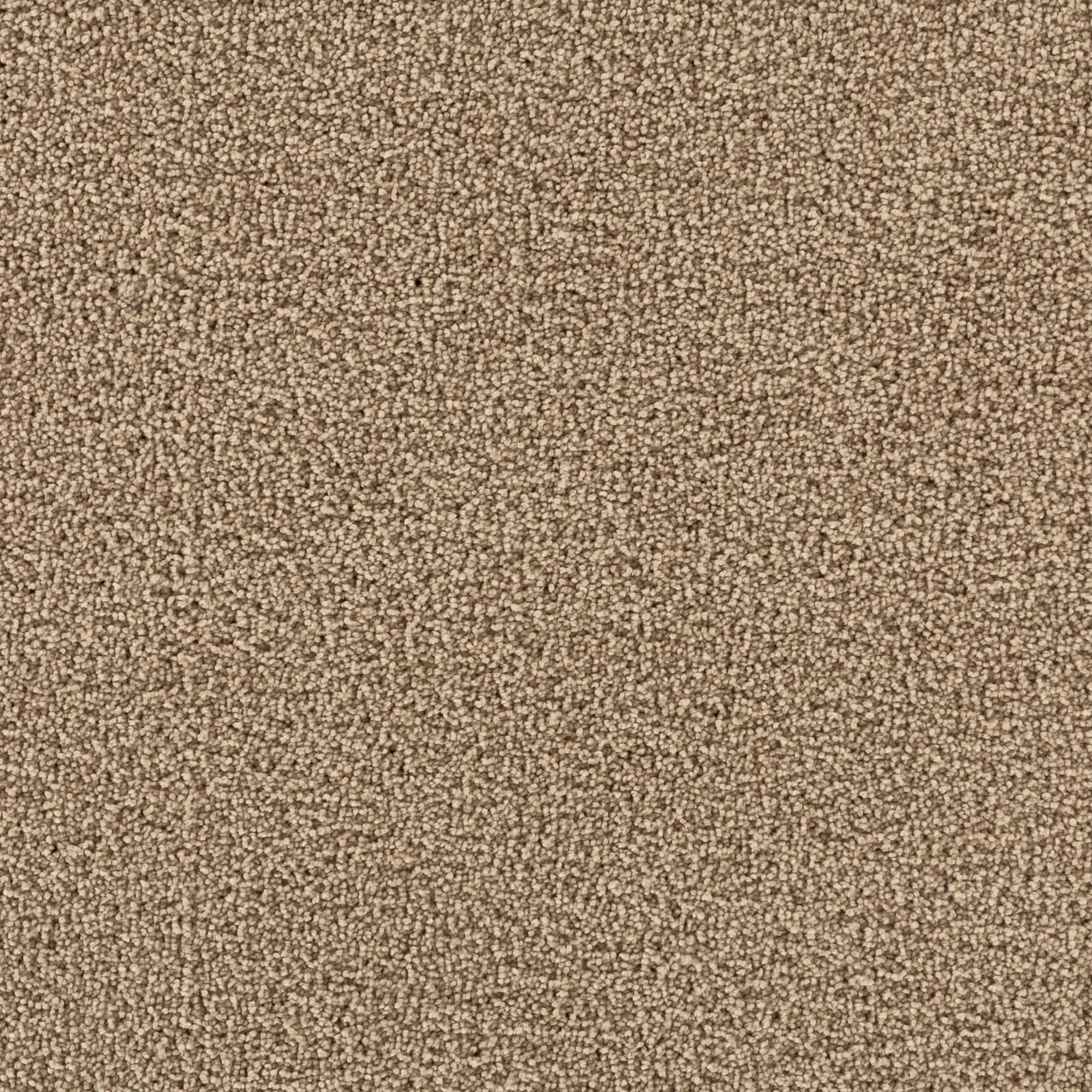 STAINMASTER STP44-12-L008 Soothing space II Solitude Brown 60-oz sq yard Polyester Textured Indoor Carpet