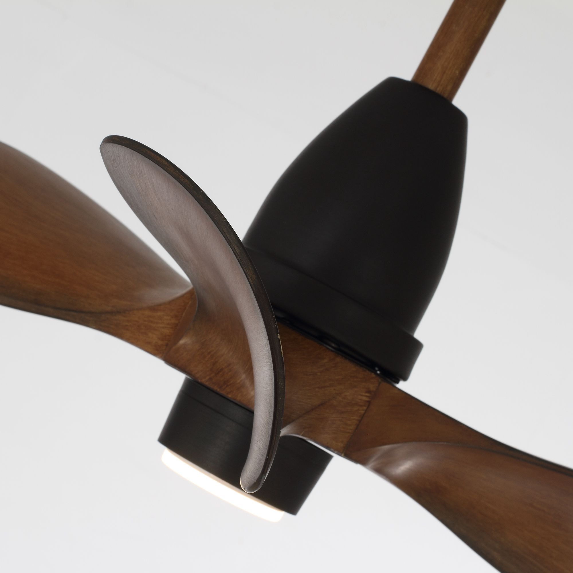 Parrot Uncle F6263110V Ceiling-Fans - View #11