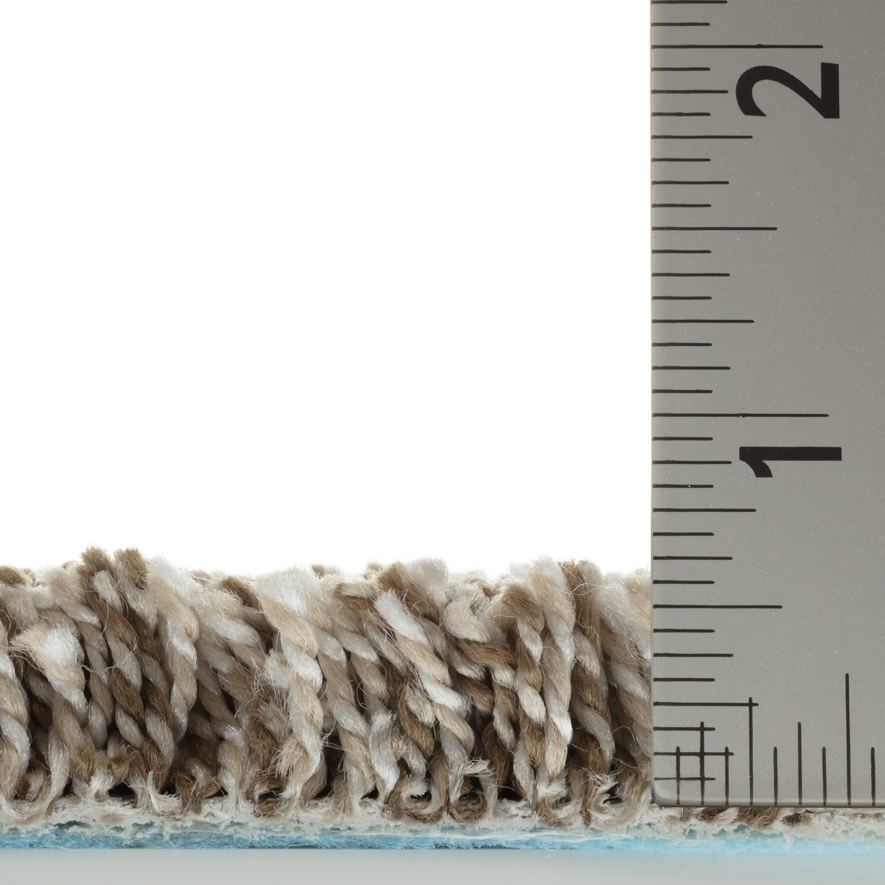 STAINMASTER PetProtect 7L99400133 Carpet-Panel - View #8