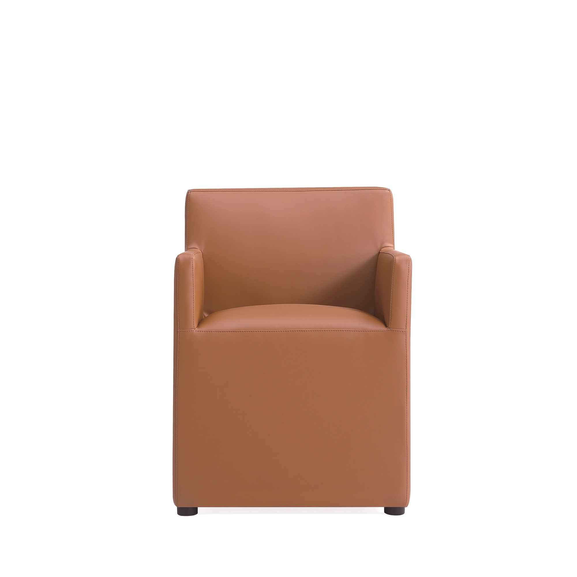 Manhattan Comfort 2-DC058AR-SA Dining-Chairs - View #4