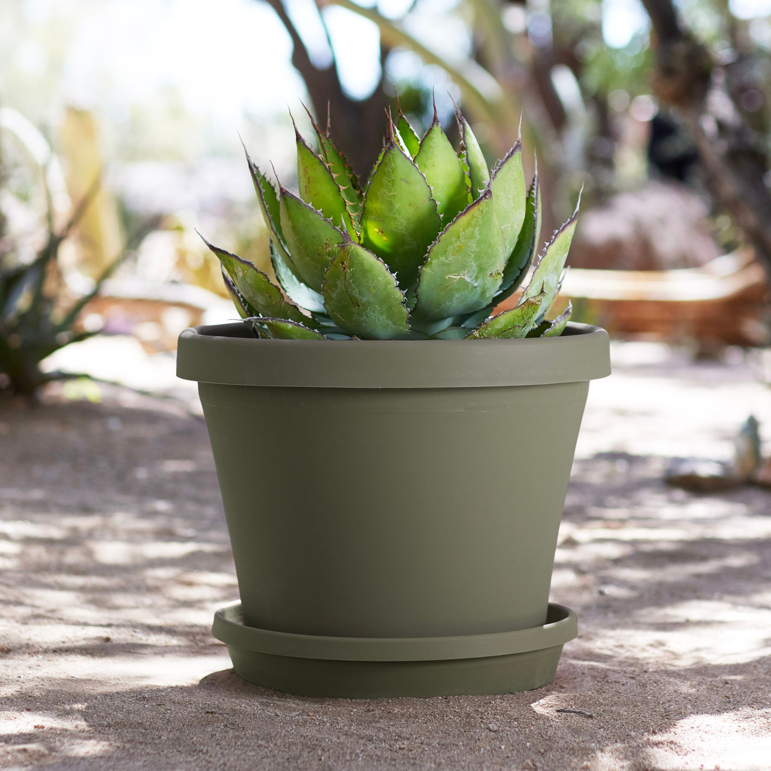 Bloem 50414 Planter-Window-Box - View #2