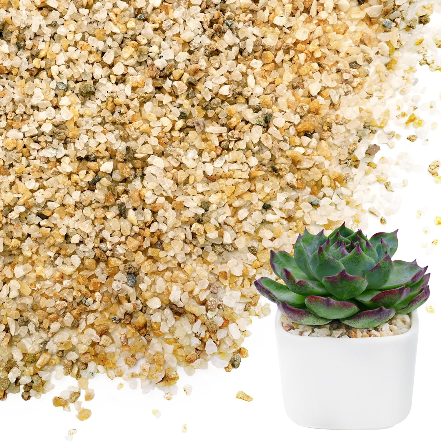 FANTIAN - 6 lb 1-2mm Coarse Horticultural Sand for Succulents Cacti Bonsai Aquariums and Landscap...