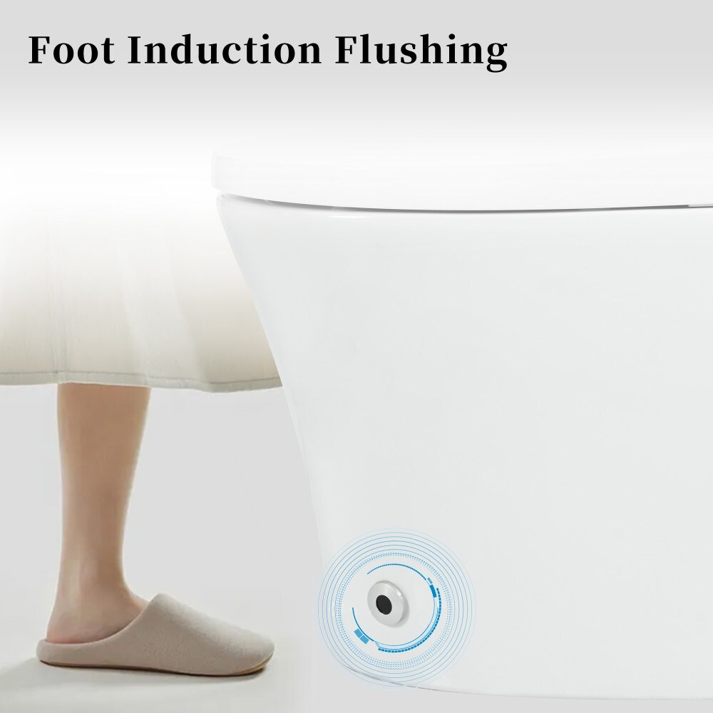 AAZJ JDZ-222587W toilets - View #15