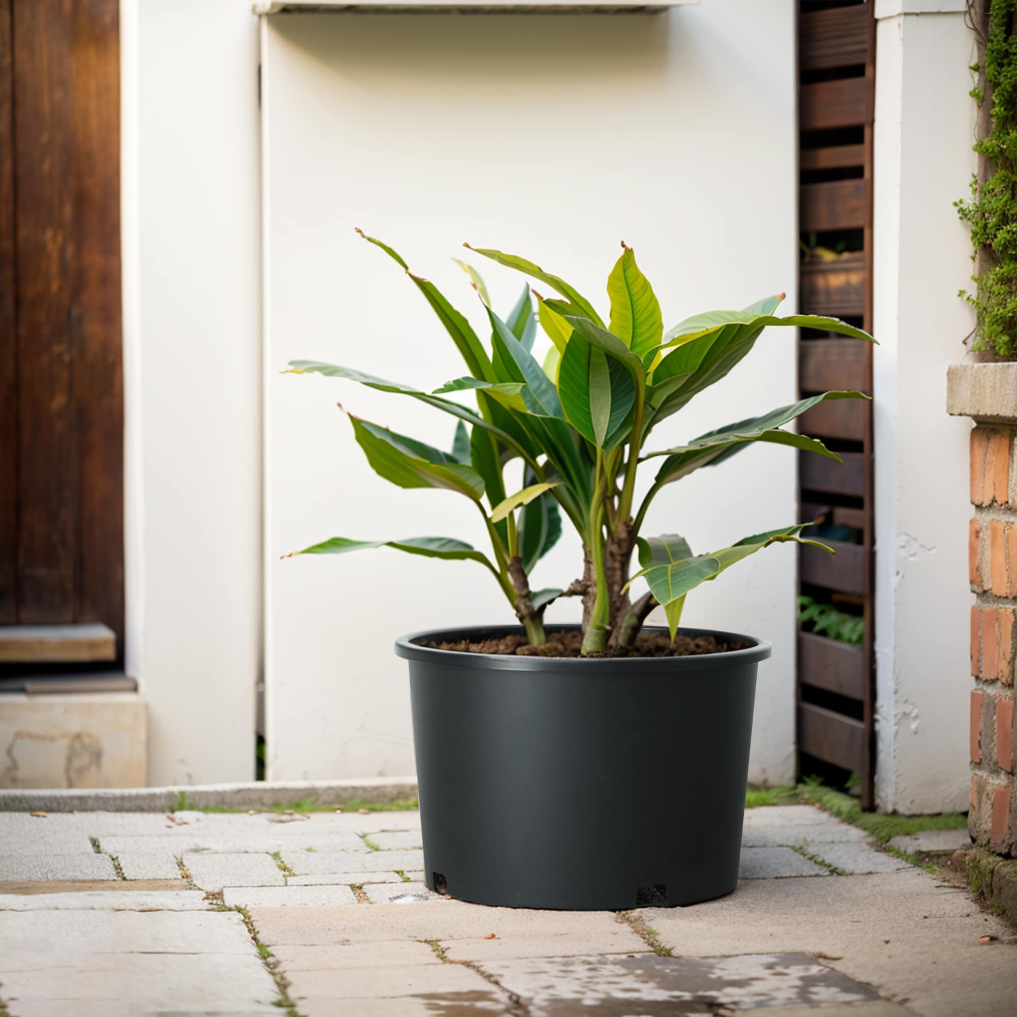 Style Selections MLH0614PKH Planter-Window-Box - View #2