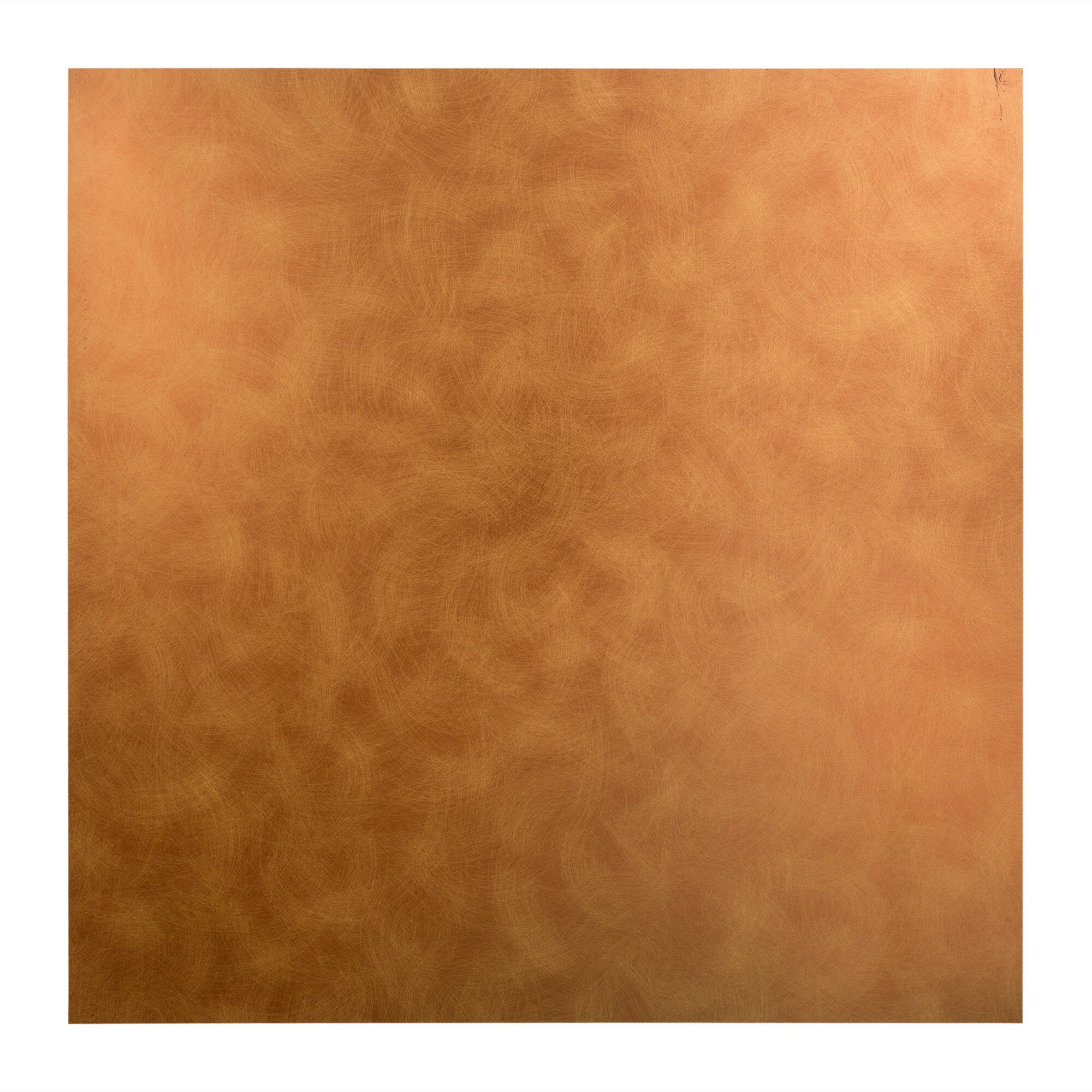 Fasade PL6931 Ceiling-Tile - View #2