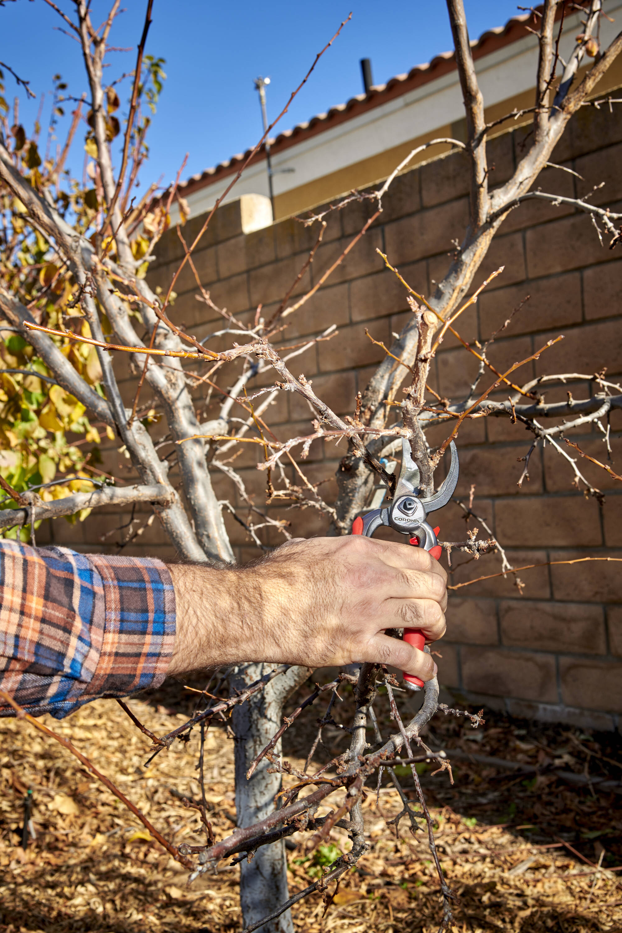 Corona BP 7100D Hand-Pruners - View #13
