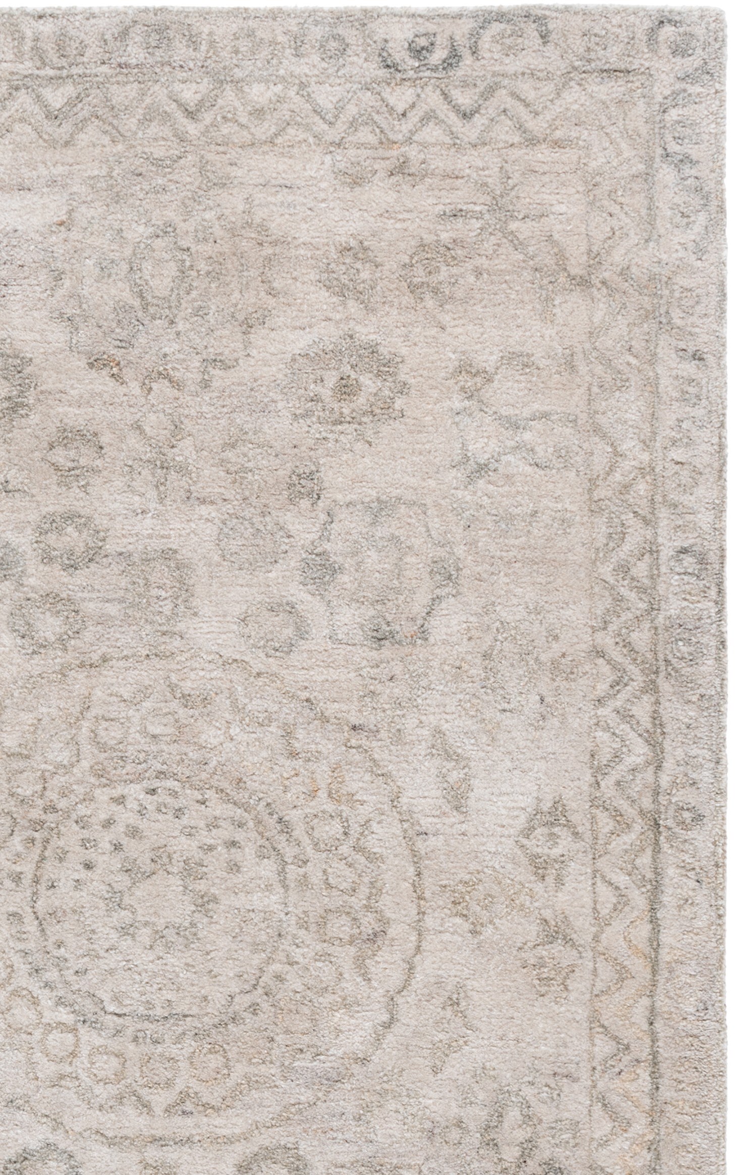 Safavieh AN411G-5 rugs - View #5