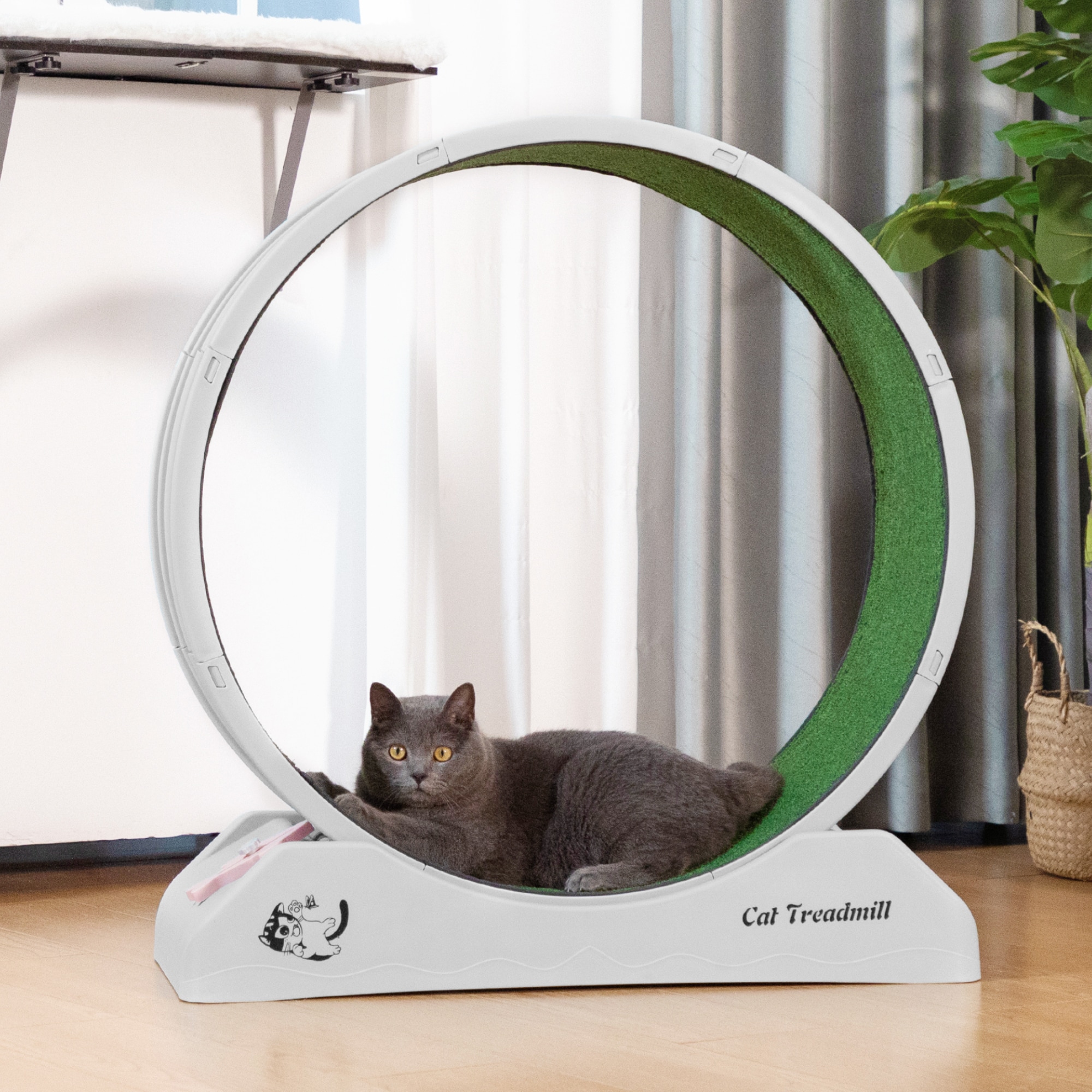 Gray and Green Freestanding Plastic Cat Exercise Wheel