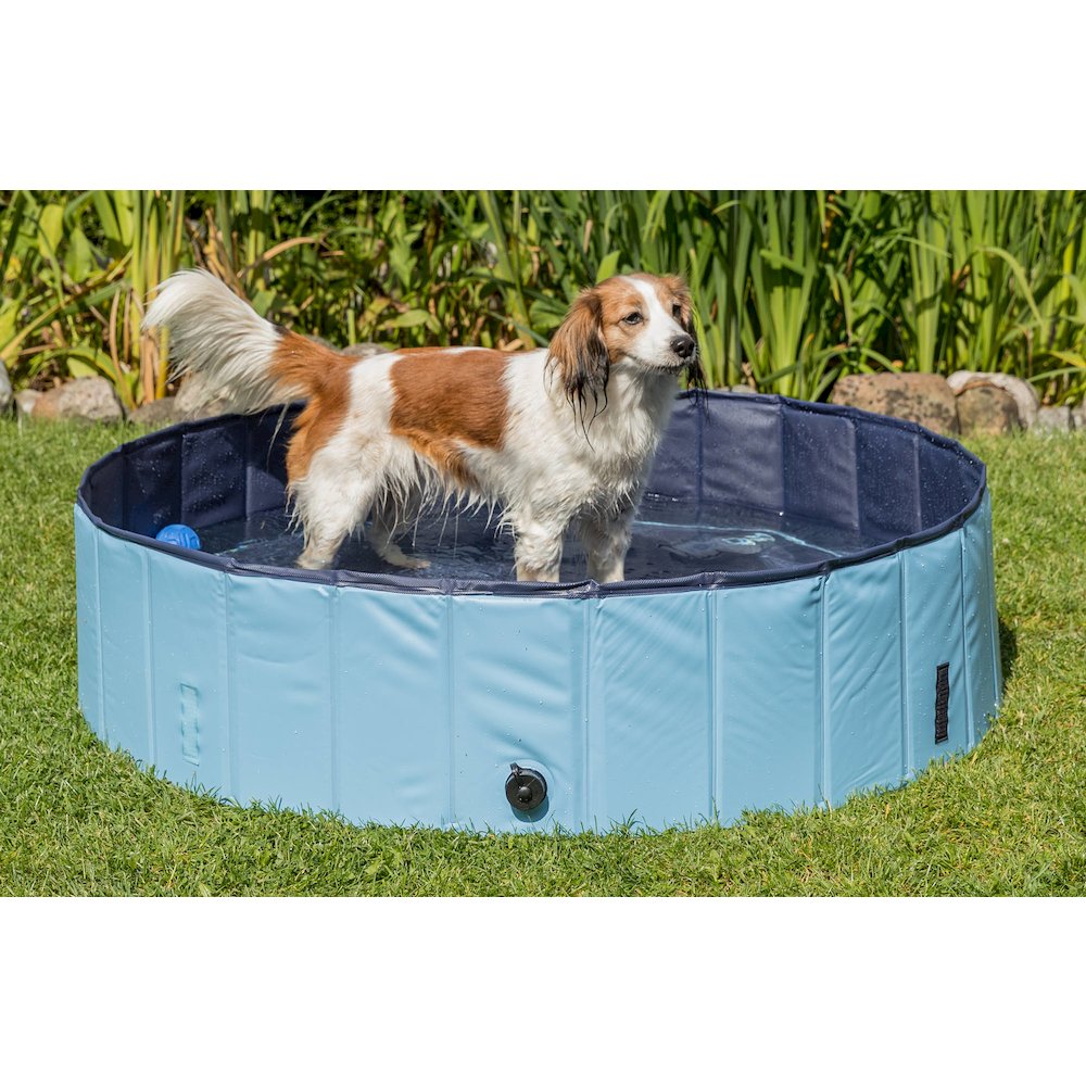 TRIXIE 39481 Fountains-Waterers - View #3