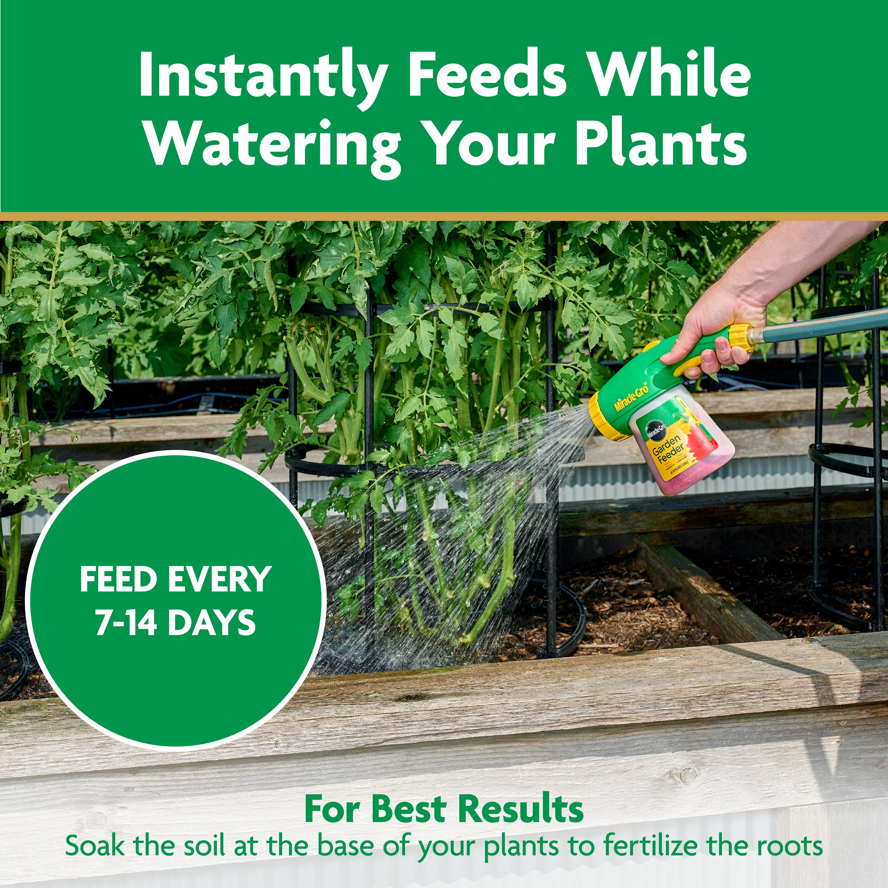 Miracle-Gro 3003710 Plant-Food - View #8