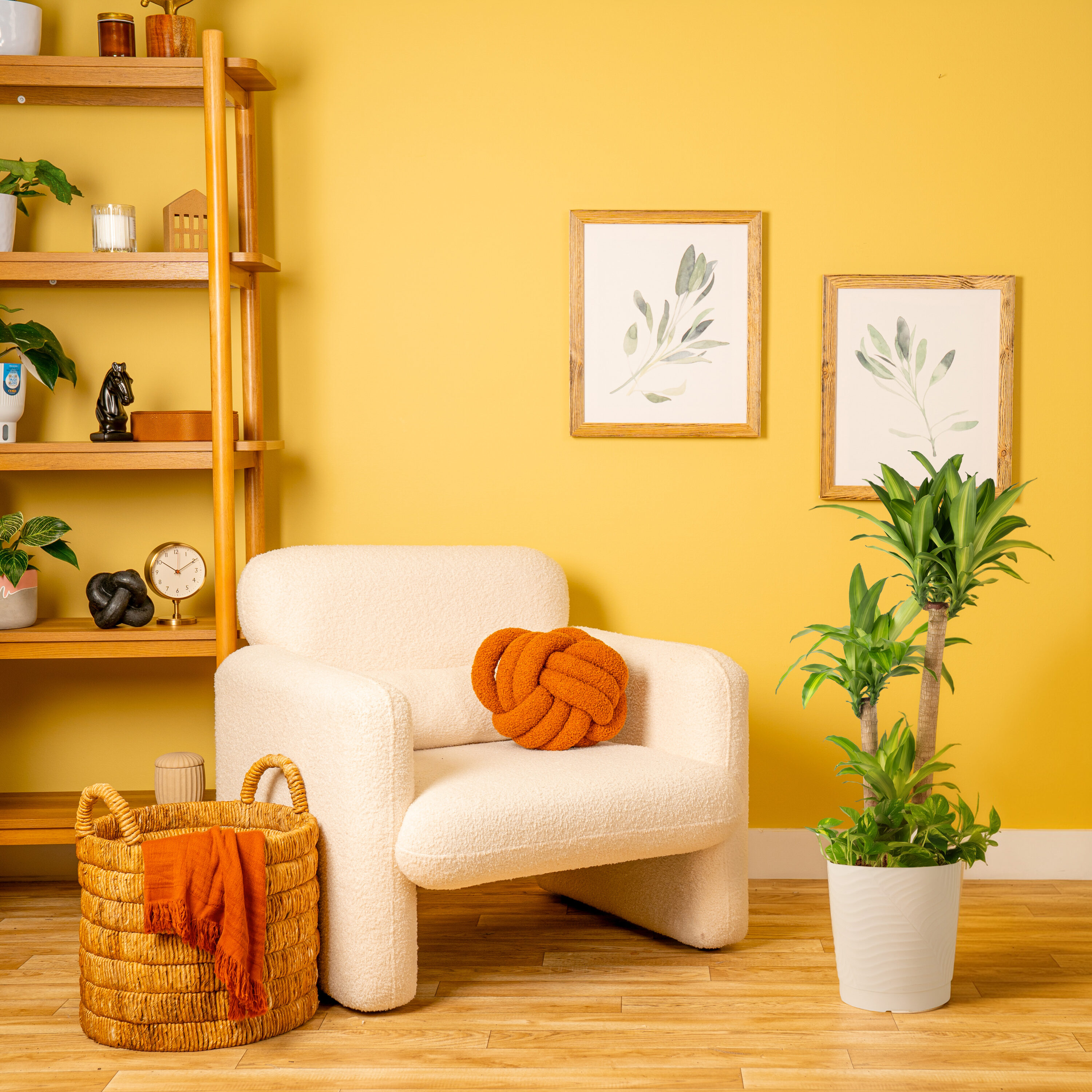 Lowe's N/A hseplants - View #3