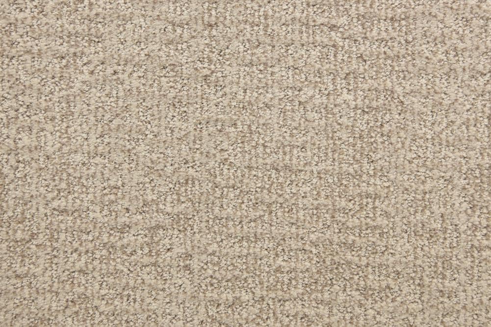 STAINMASTER Signature New Attitude Beautify Textured Indoor Carpet at ...