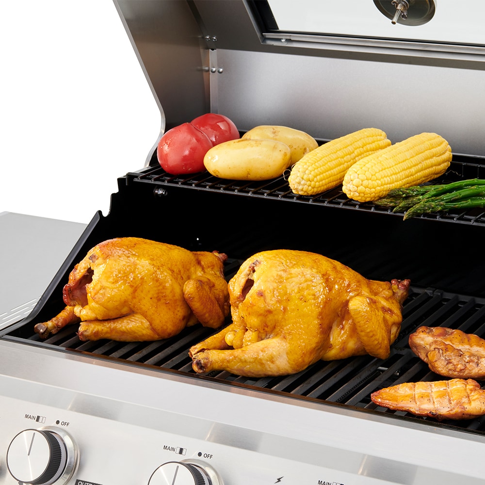 Monument 36000 Gas-Grill - View #9