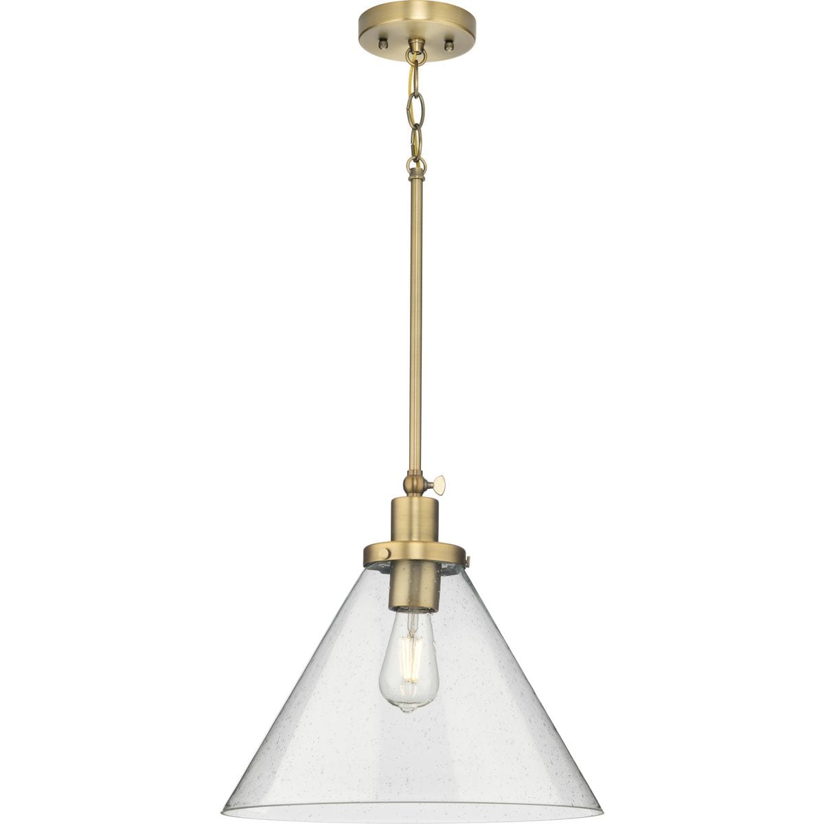 Progress Lighting P500384-163 Pendant-Lights - View #8