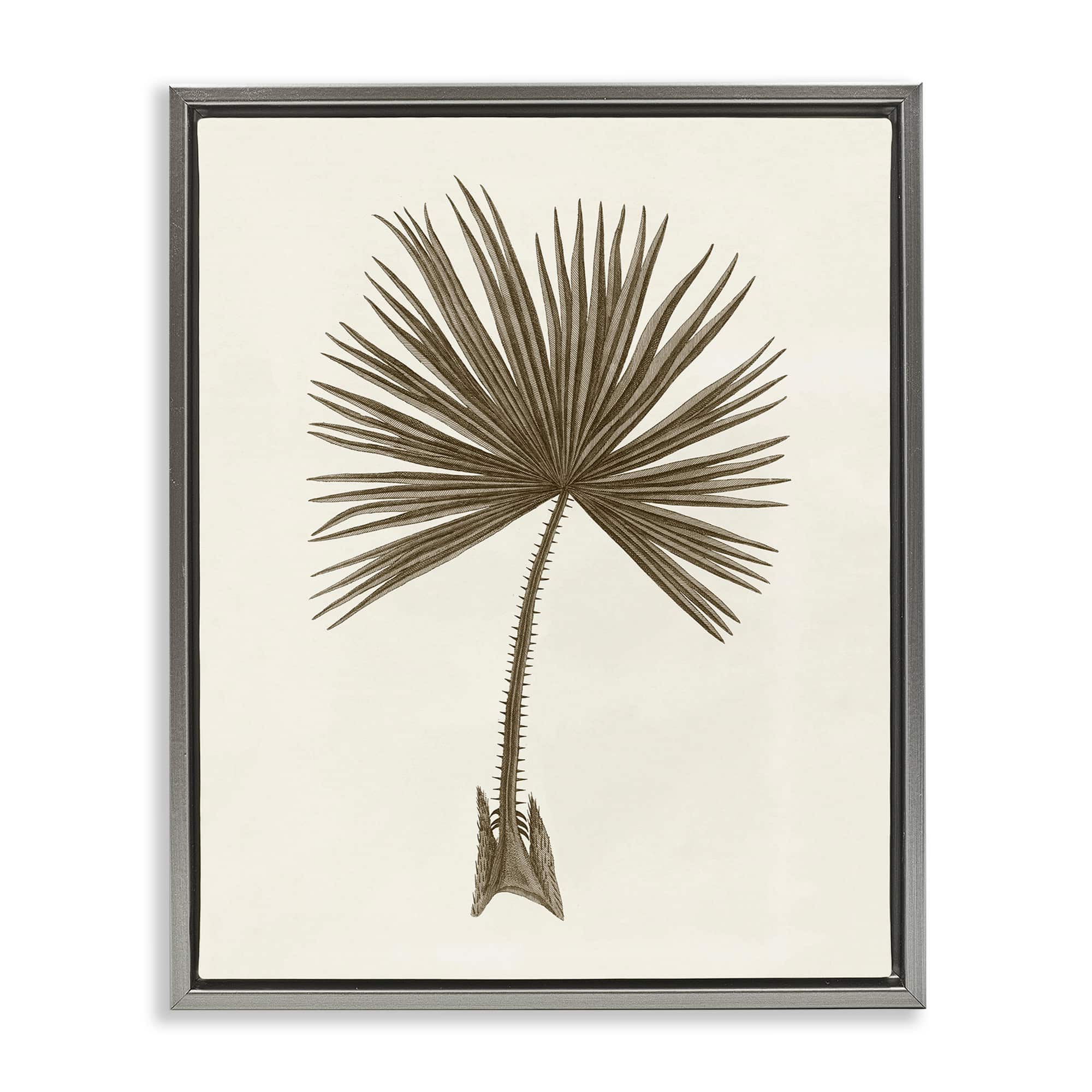 Stupell Industries BT-480-FFL-24X30 Vintage Study of Palm Leaf Gray Framed Floater Canvas Wall Art By Phillipa Katz 25 x 31